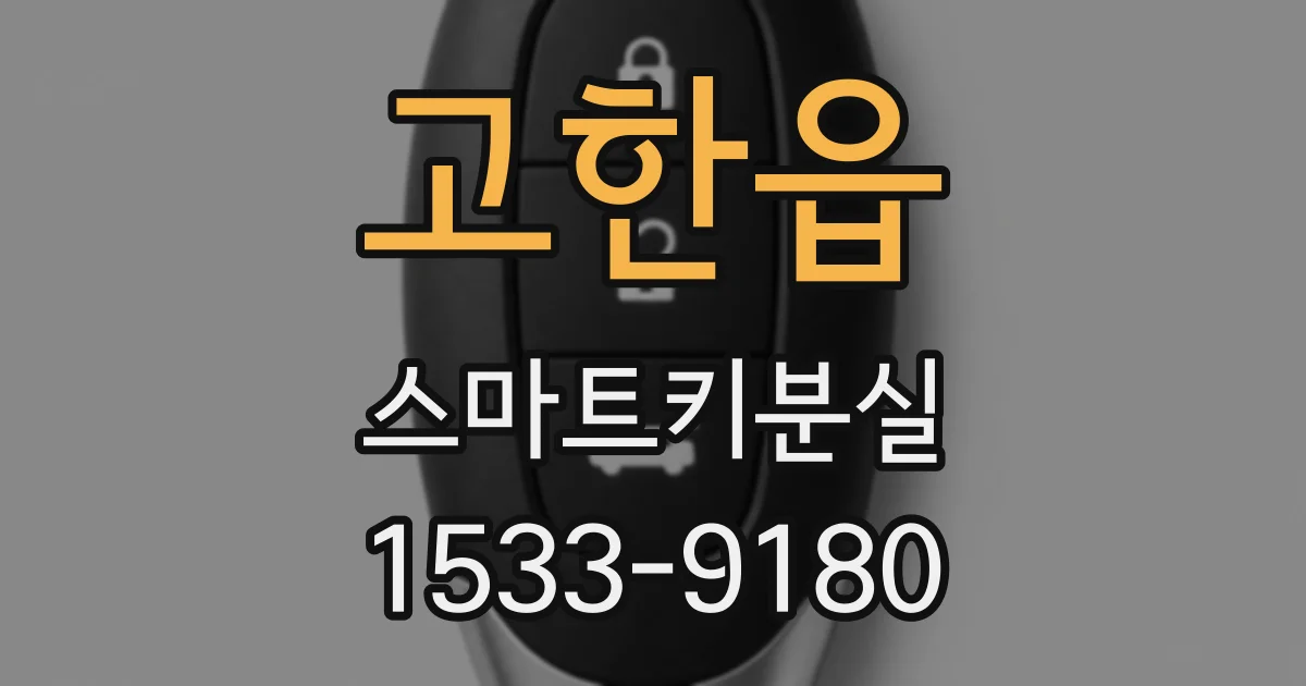 고한읍 스마트키분실