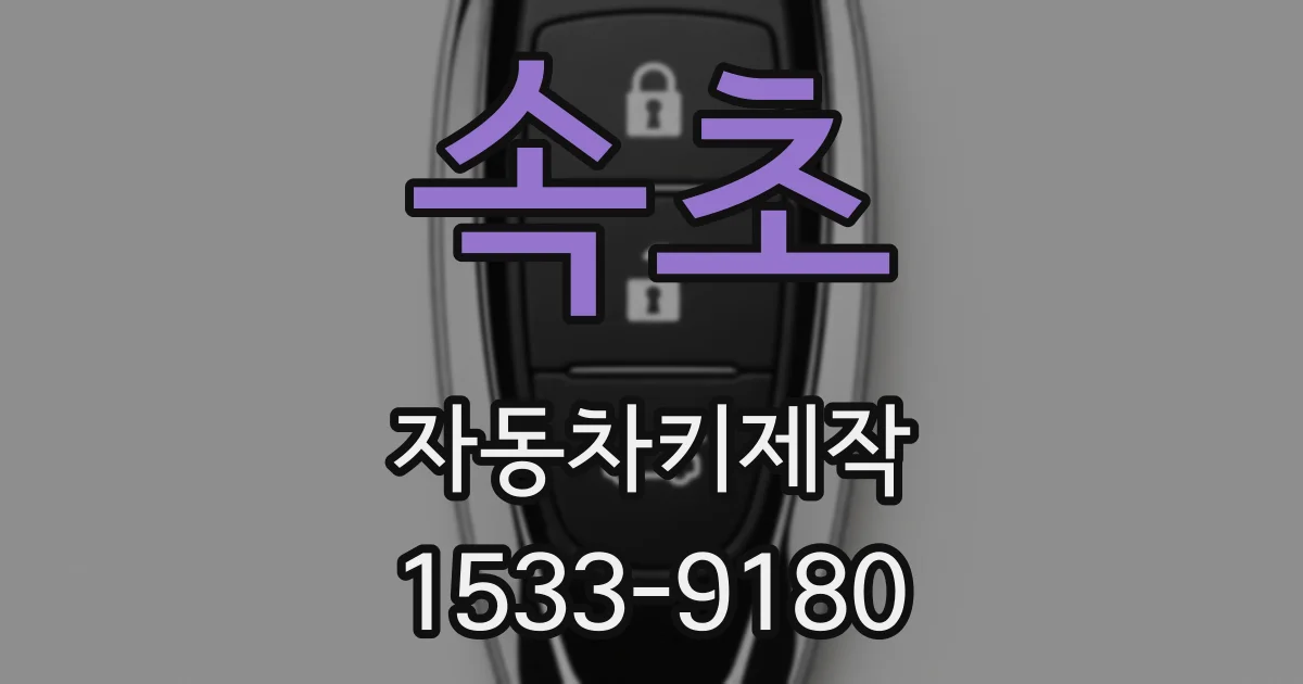 속초 자동차키제작