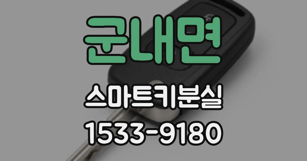군내면 스마트키분실