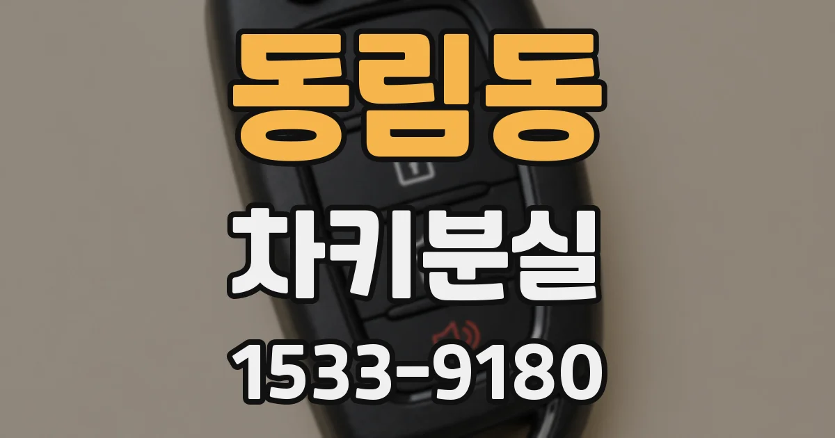 동림동 차키분실