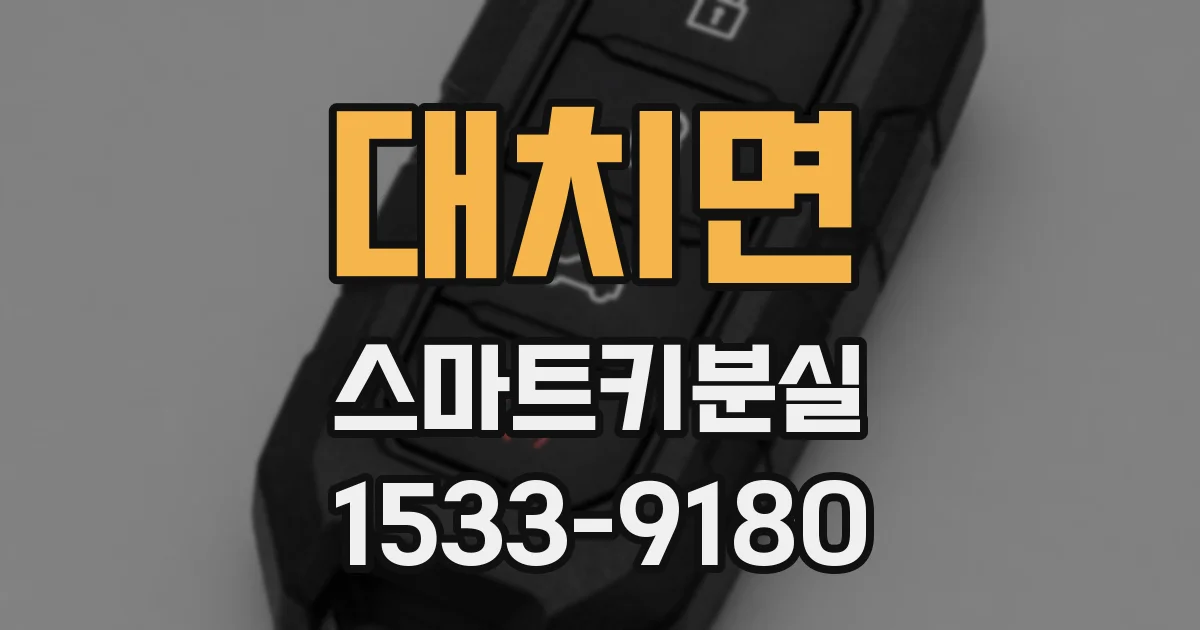 대치면 스마트키분실