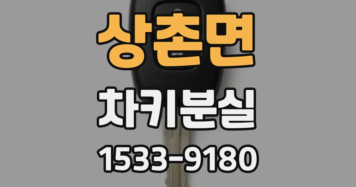 상촌면 차키분실