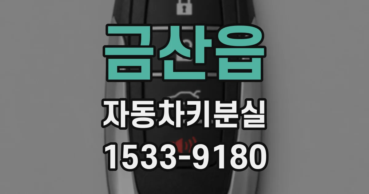 금산읍 자동차키분실