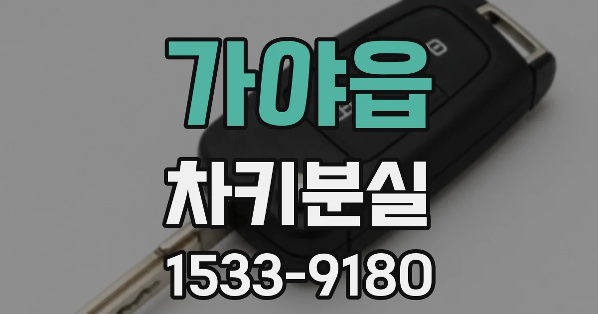 가야읍 차키분실