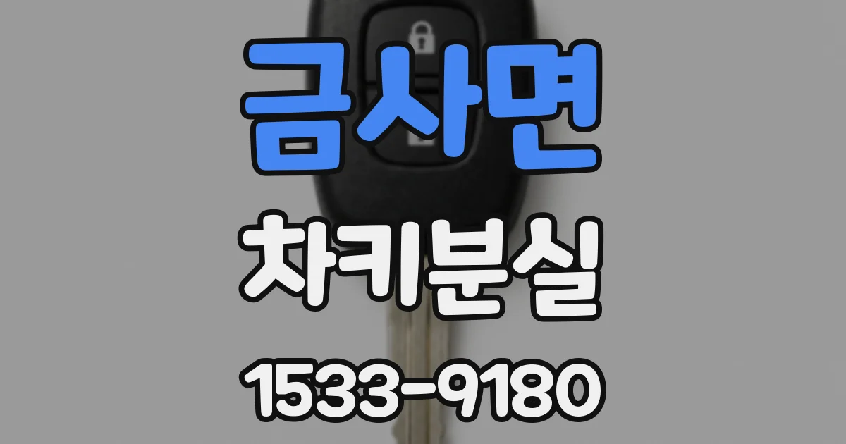 금사면 차키분실