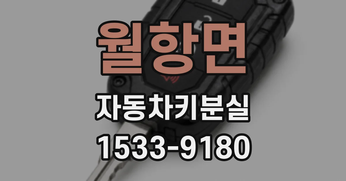 월항면 자동차키분실
