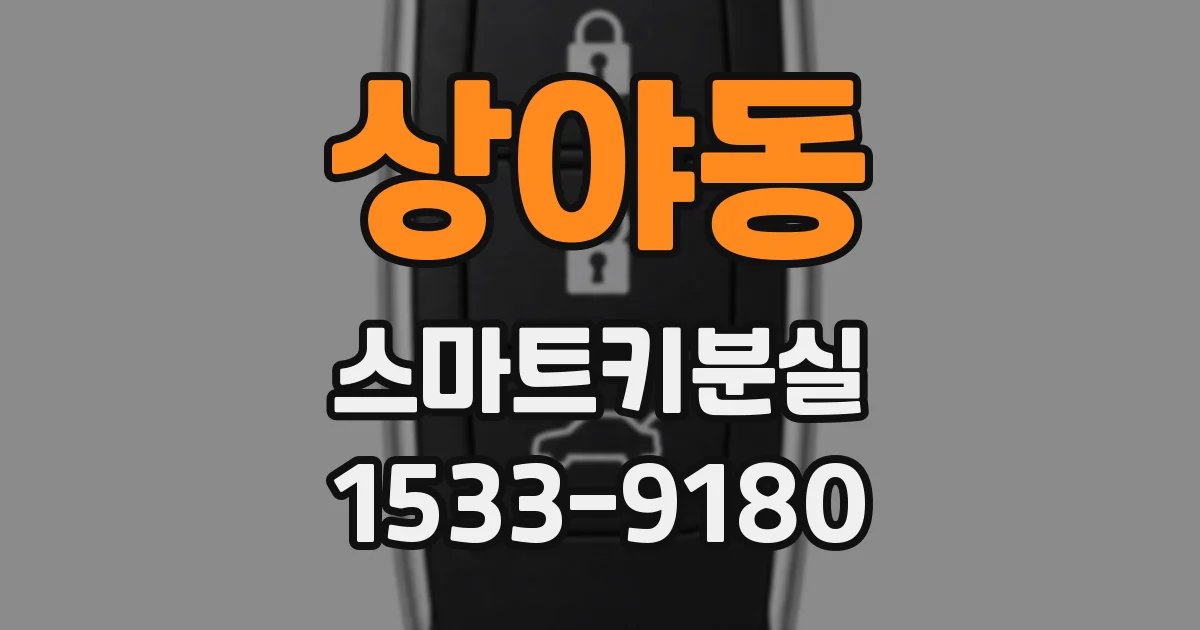 상야동 스마트키분실
