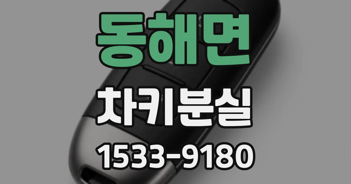 동해면 차키분실