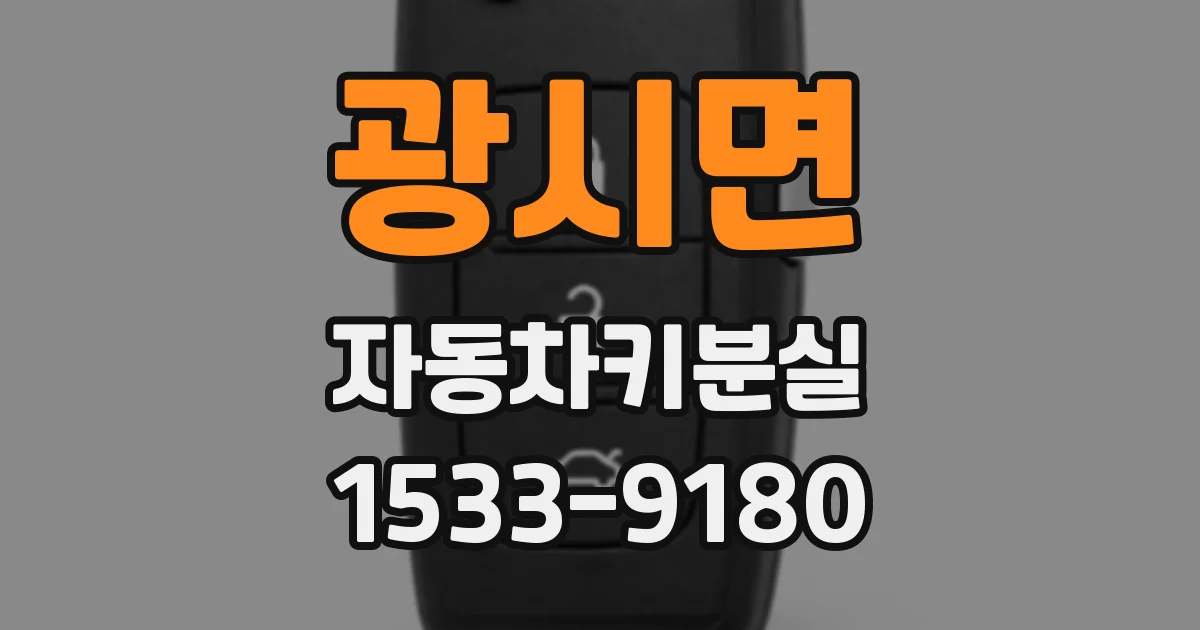 광시면 자동차키분실