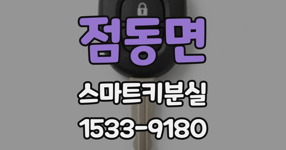 점동면 스마트키분실
