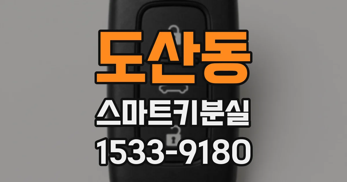 도산동 스마트키분실