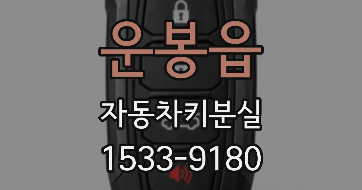 운봉읍 자동차키분실