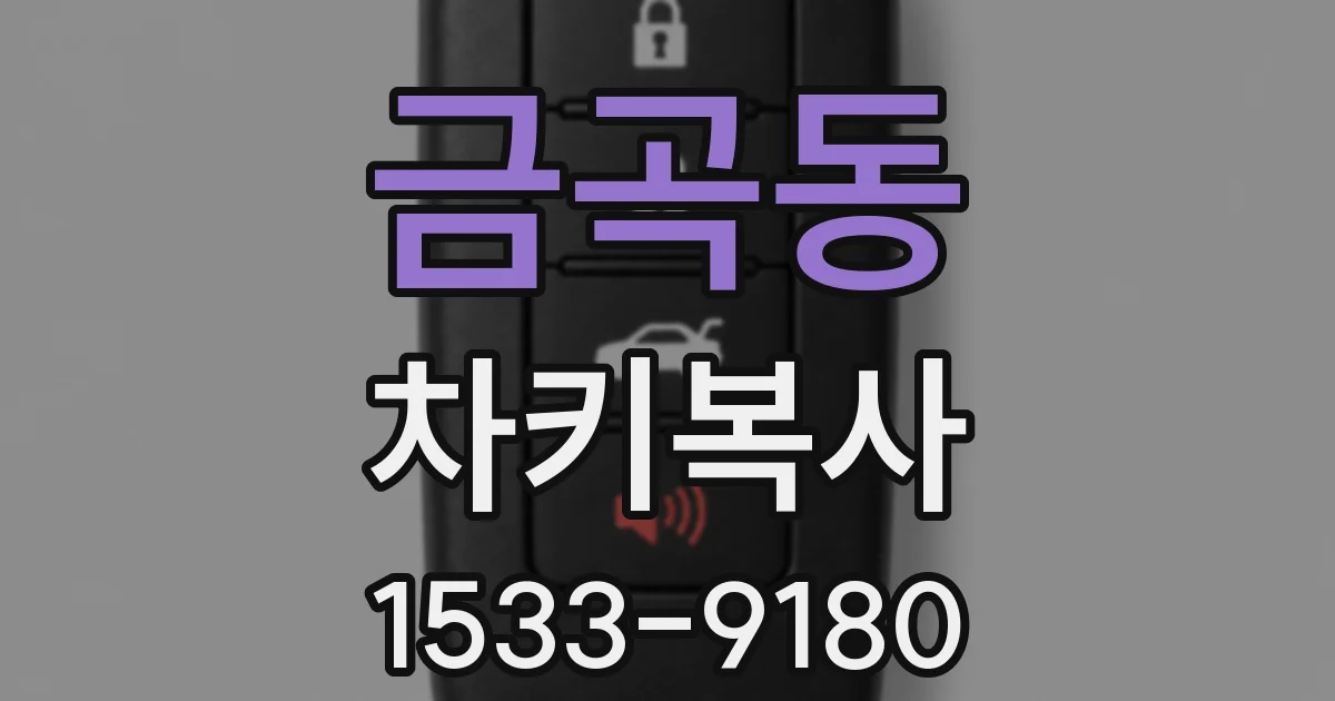 금곡동 차키복사