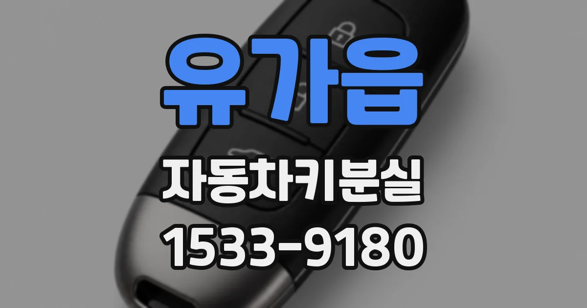 유가읍 자동차키분실