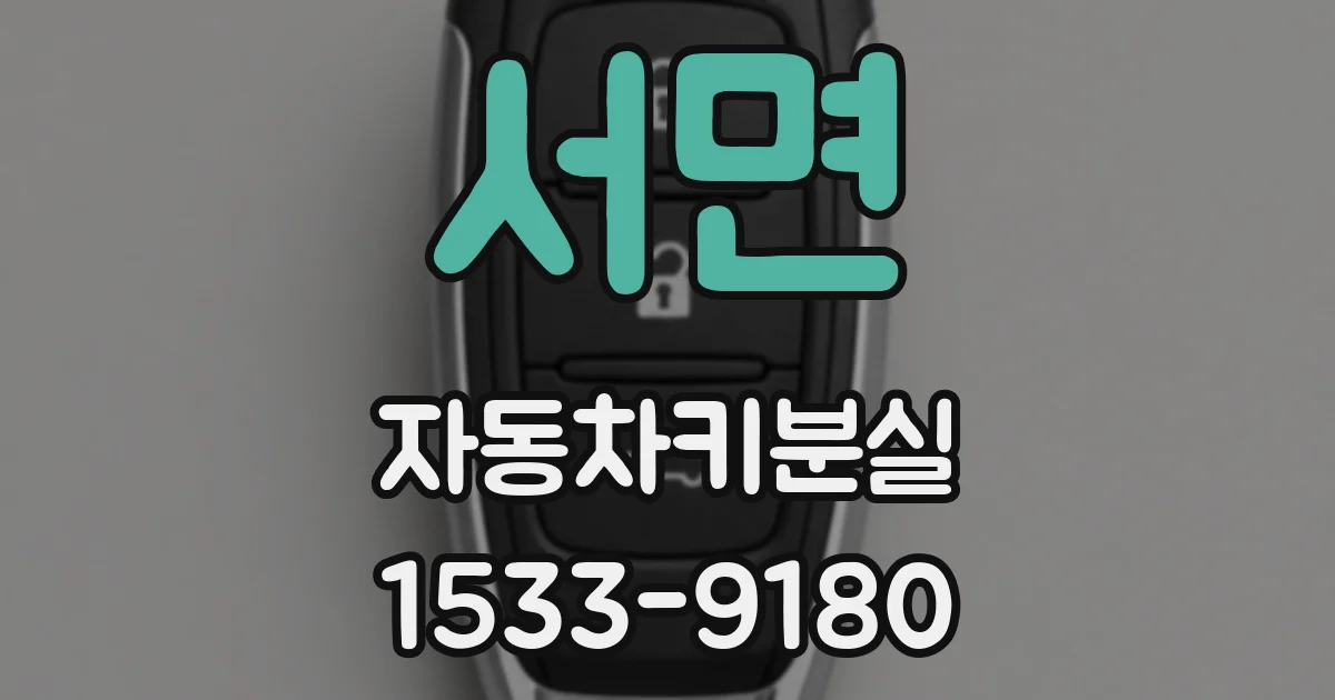 서면 자동차키분실