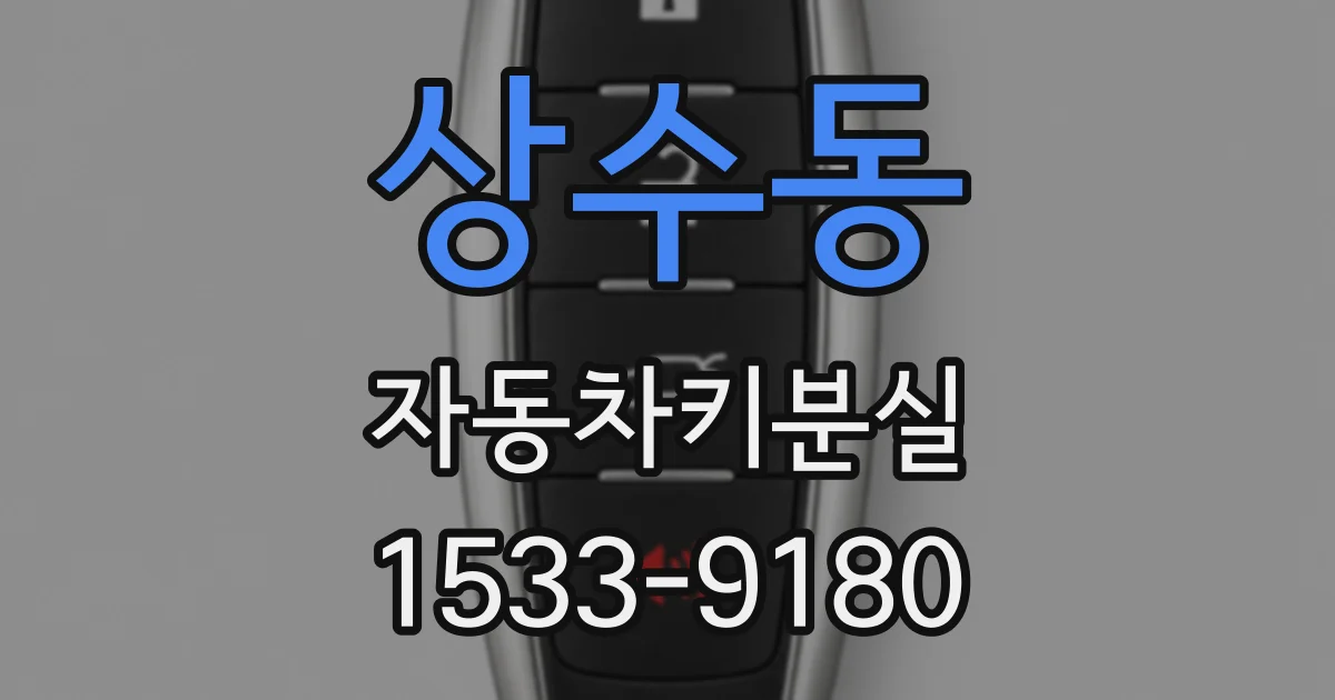 상수동 자동차키분실