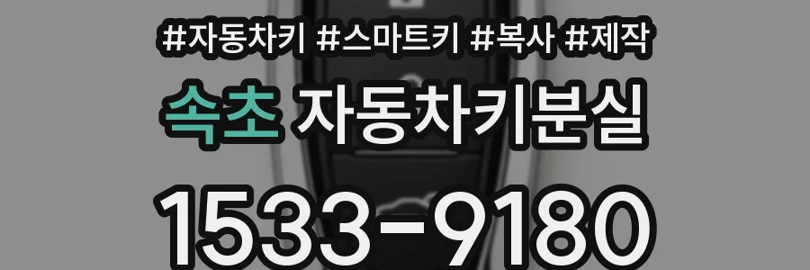 속초 자동차키분실