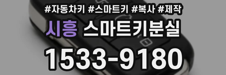 시흥 스마트키분실