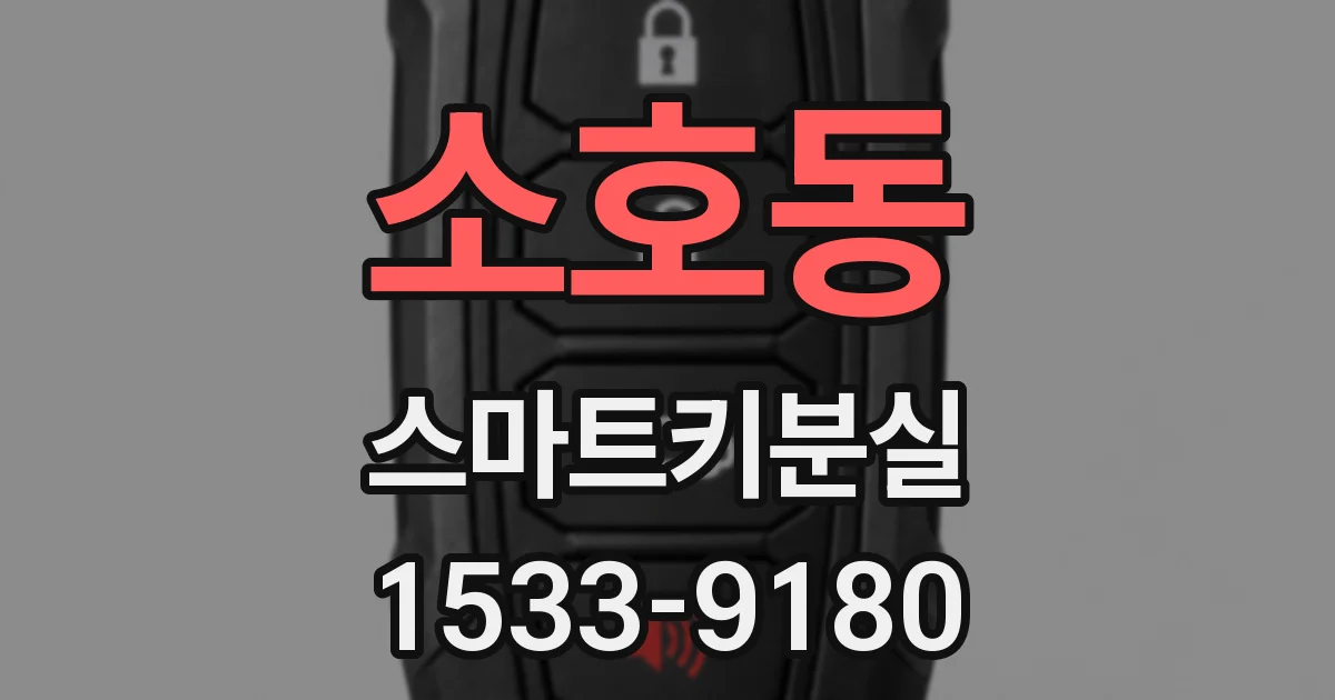 소호동 스마트키분실