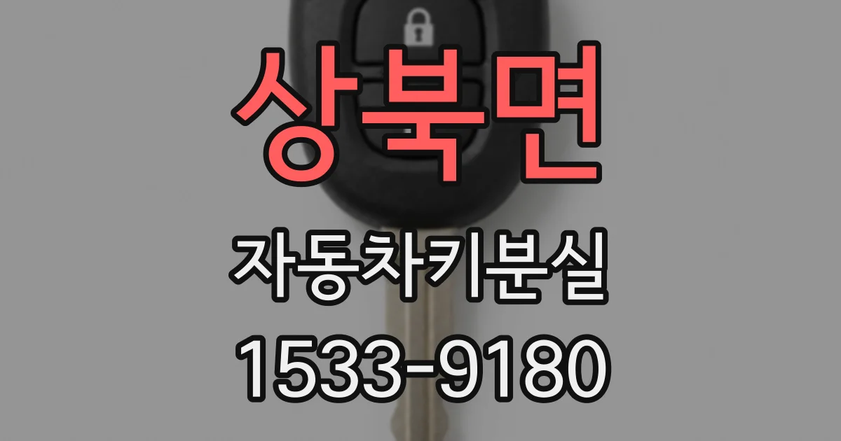상북면 자동차키분실