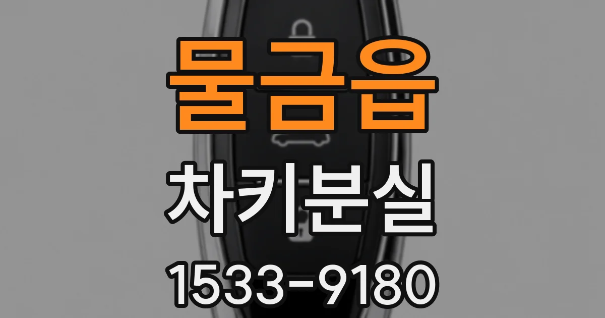 물금읍 차키분실