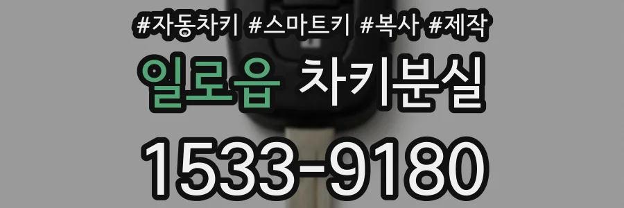 일로읍 차키분실