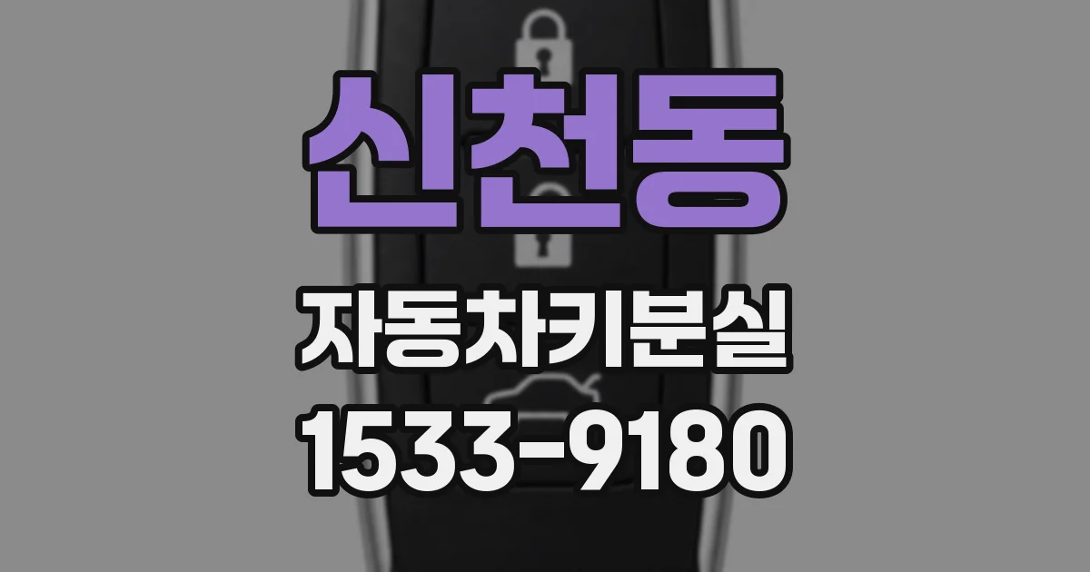 신천동 자동차키분실