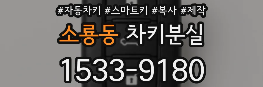 소룡동 차키분실