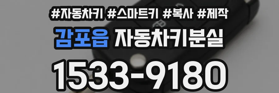감포읍 자동차키분실