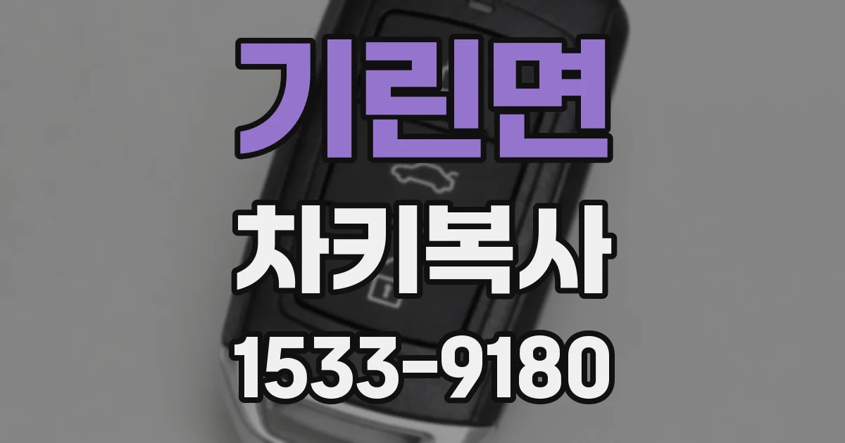 기린면 차키복사