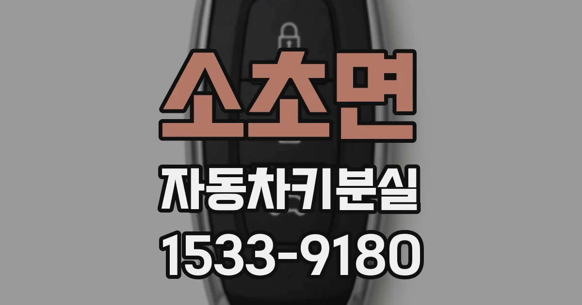 소초면 자동차키분실