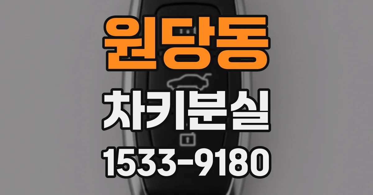 원당동 차키분실