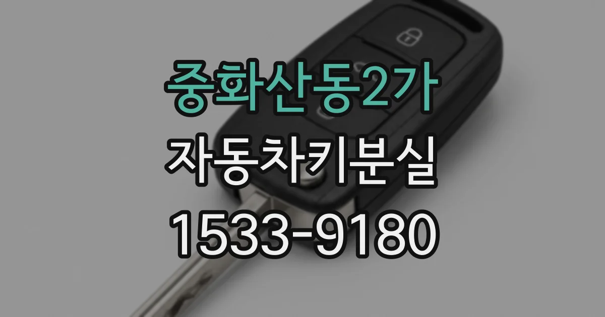 중화산동2가 자동차키분실