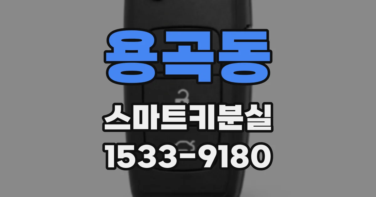 용곡동 스마트키분실