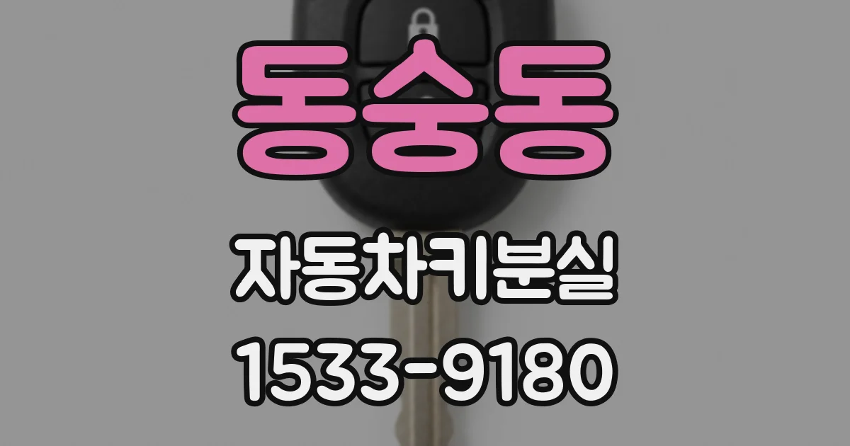 동숭동 자동차키분실