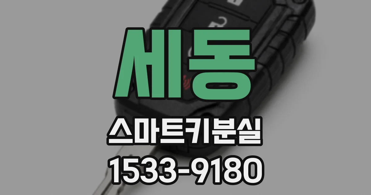 세동 스마트키분실