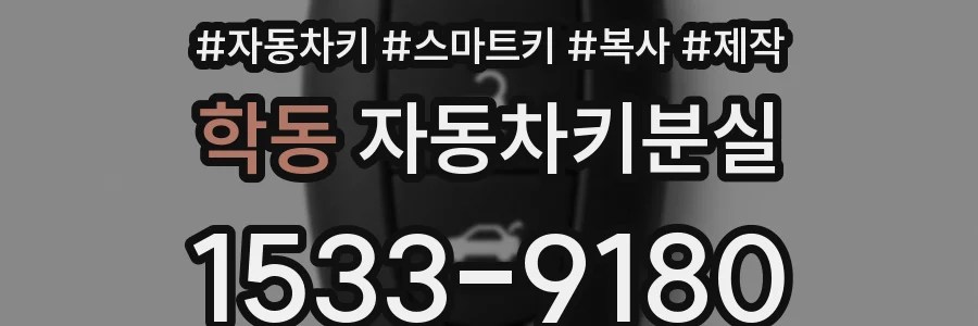 학동 자동차키분실