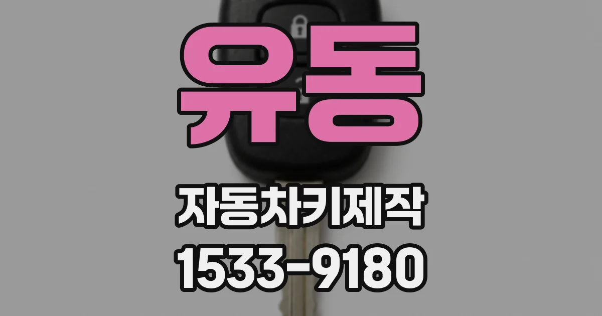 유동 자동차키제작
