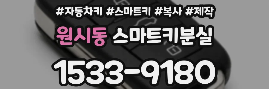 원시동 스마트키분실