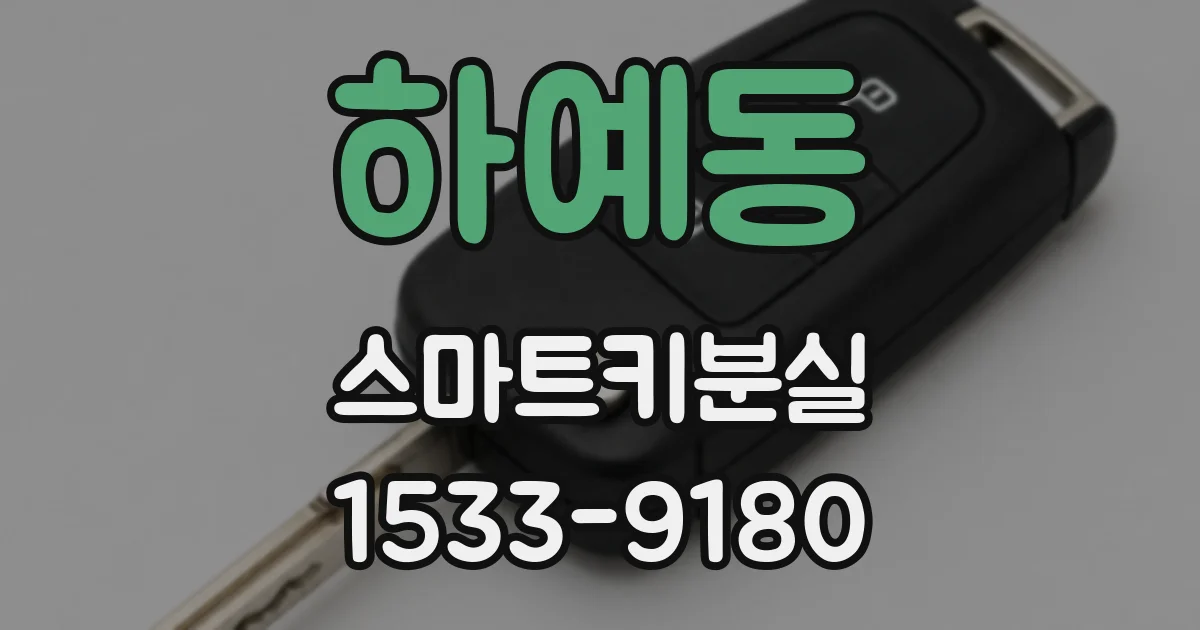하예동 스마트키분실