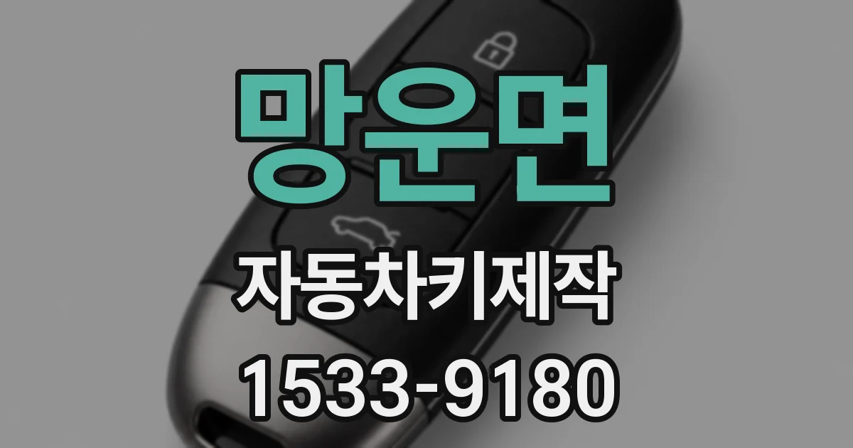 망운면 자동차키제작