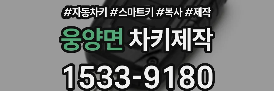 웅양면 차키제작