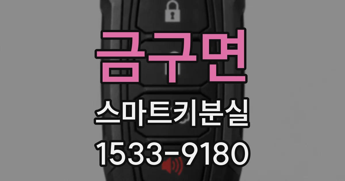 금구면 스마트키분실