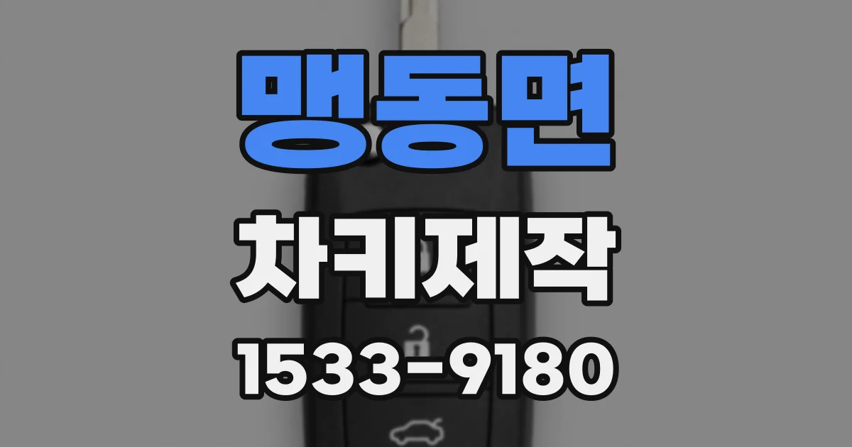 맹동면 차키제작