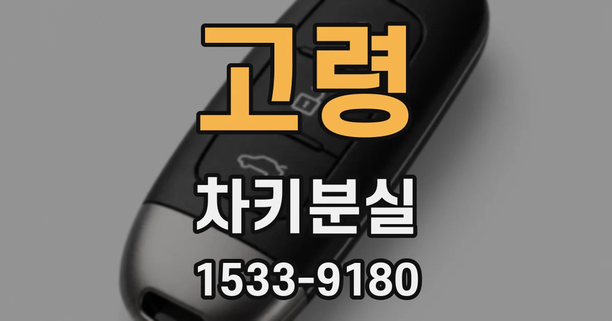 고령 차키분실