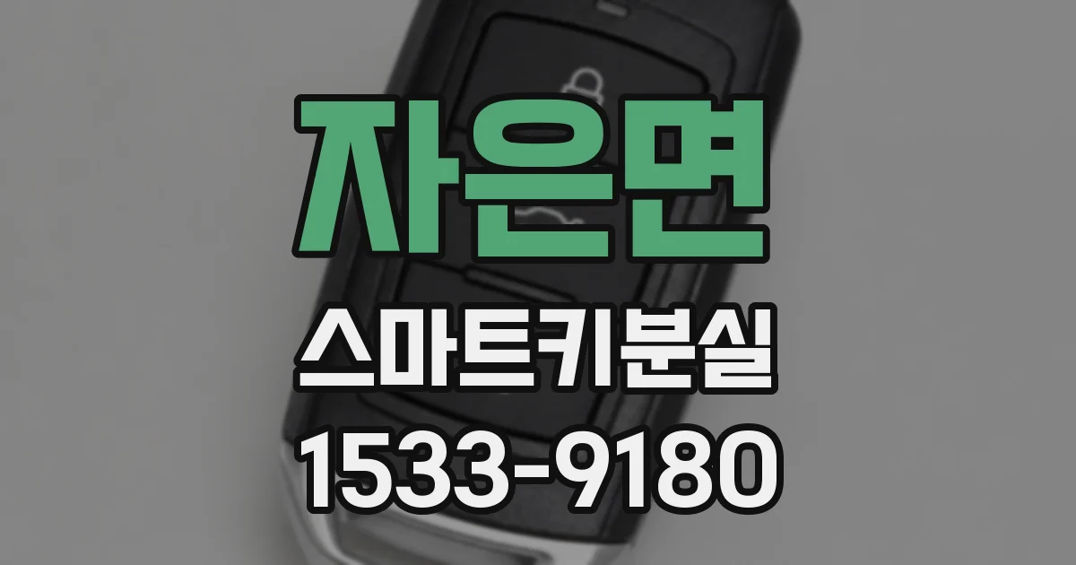 자은면 스마트키분실