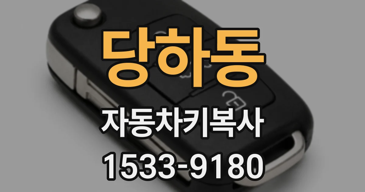 당하동 자동차키복사