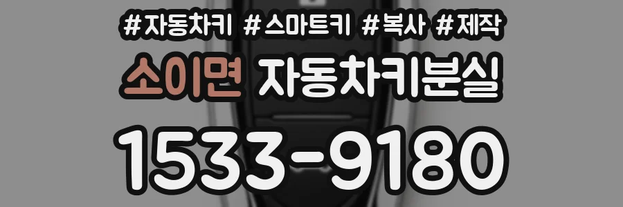 소이면 자동차키분실