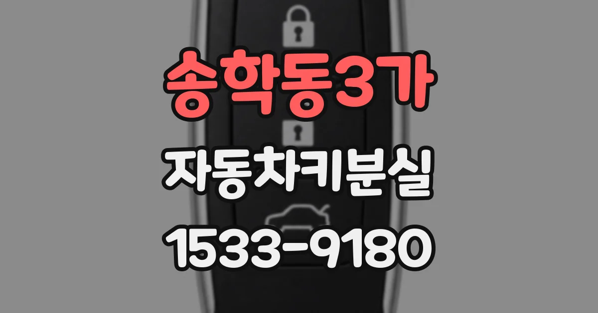 송학동3가 자동차키분실