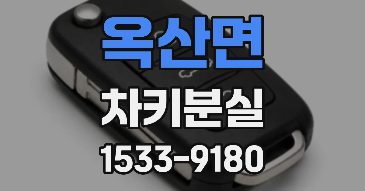 옥산면 차키분실